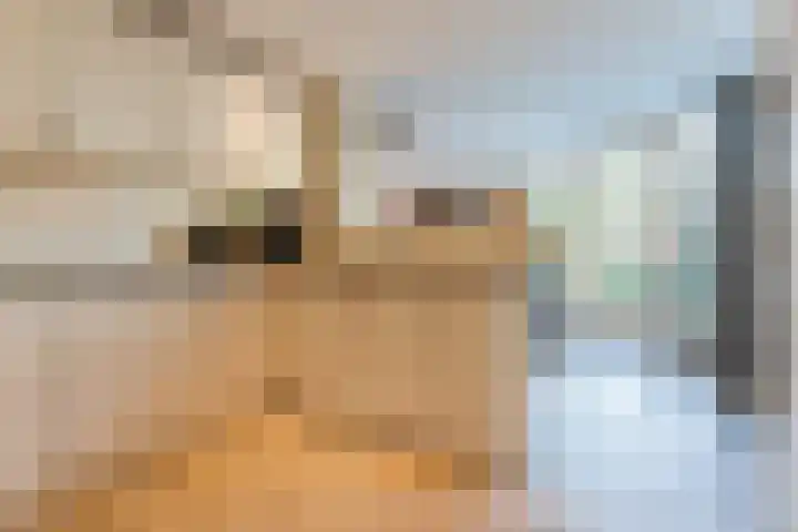 Zuringweide 10 Dongen thumbnail 22