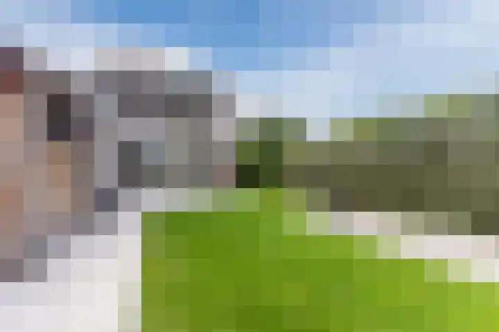 Zuringweide 10 Dongen thumbnail 23