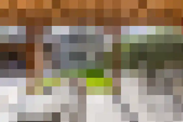 Zuringweide 10 Dongen thumbnail 24