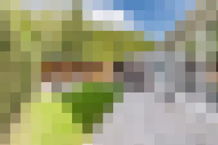 Zuringweide 10 Dongen thumbnail 25