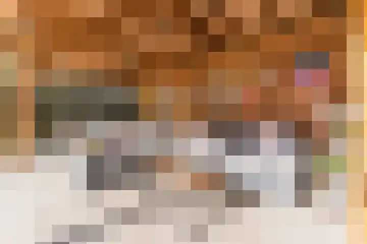 Zuringweide 10 Dongen thumbnail 27
