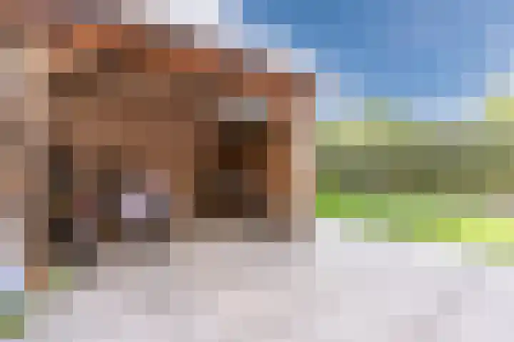 Zuringweide 10 Dongen thumbnail 29