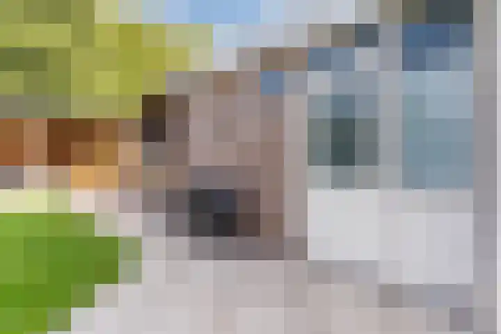 Zuringweide 10 Dongen thumbnail 30