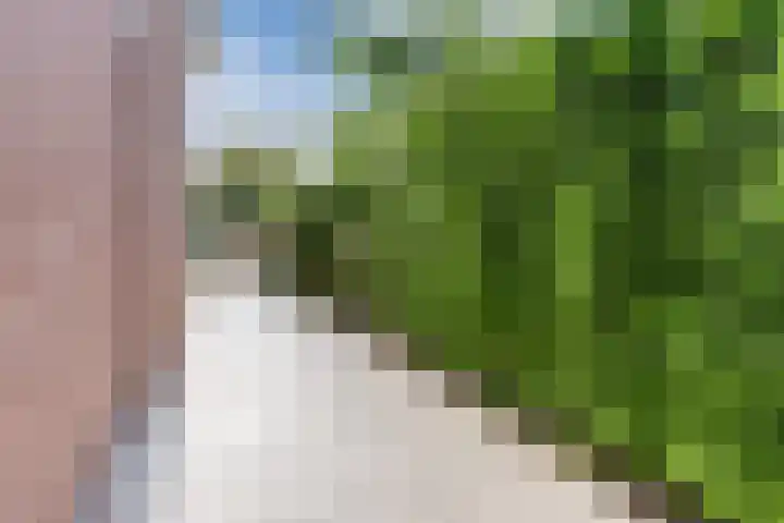 Zuringweide 10 Dongen thumbnail 31