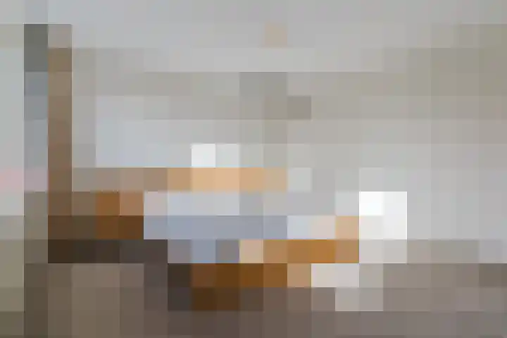 Zuringweide 10 Dongen thumbnail 32