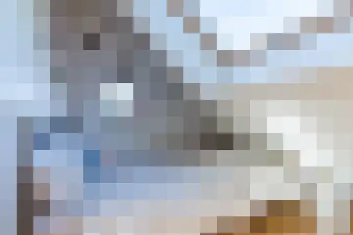 Zuringweide 10 Dongen thumbnail 38
