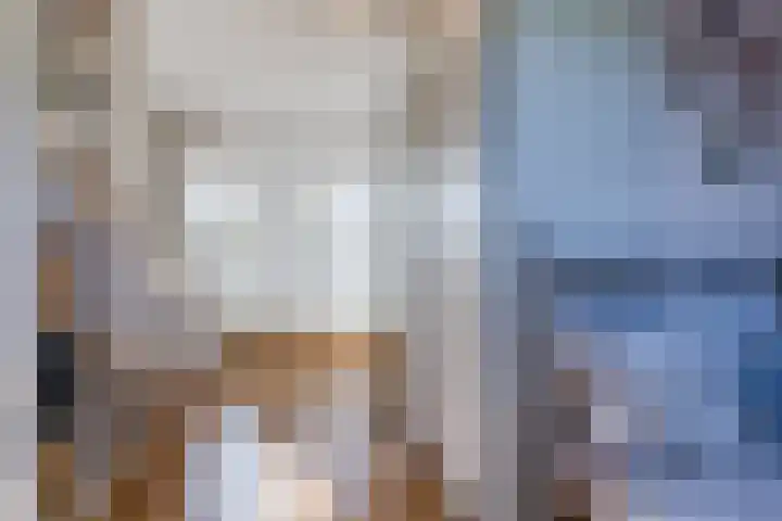 Zuringweide 10 Dongen thumbnail 39