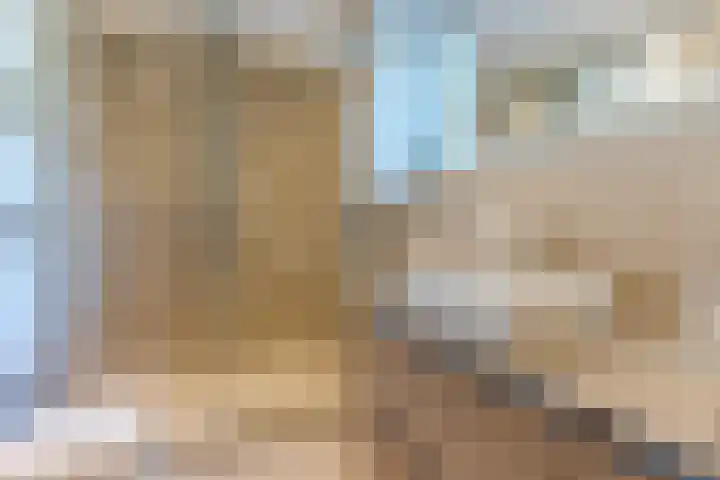 Zuringweide 10 Dongen thumbnail 4