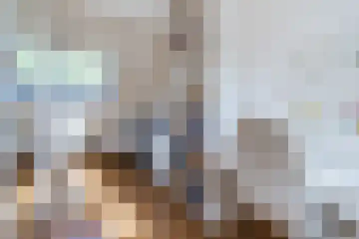 Zuringweide 10 Dongen thumbnail 40
