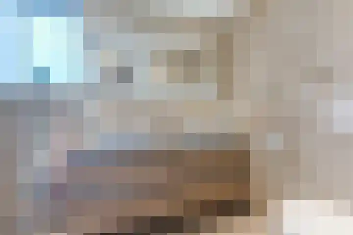 Zuringweide 10 Dongen thumbnail 45