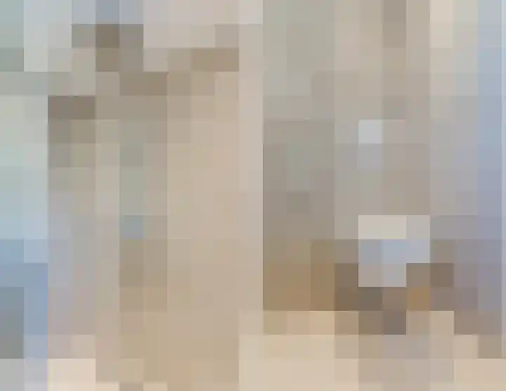 Zuringweide 10 Dongen thumbnail 46