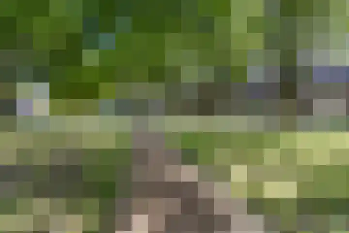 Zuringweide 10 Dongen thumbnail 52