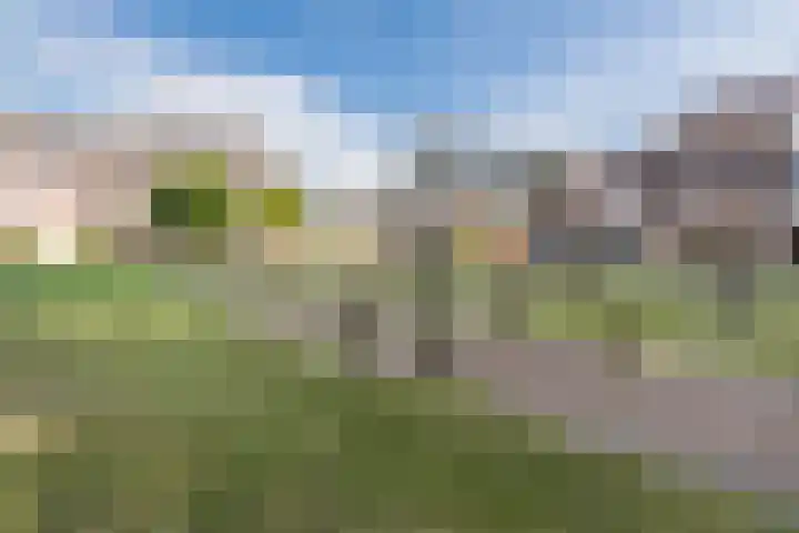 Zuringweide 10 Dongen thumbnail 53
