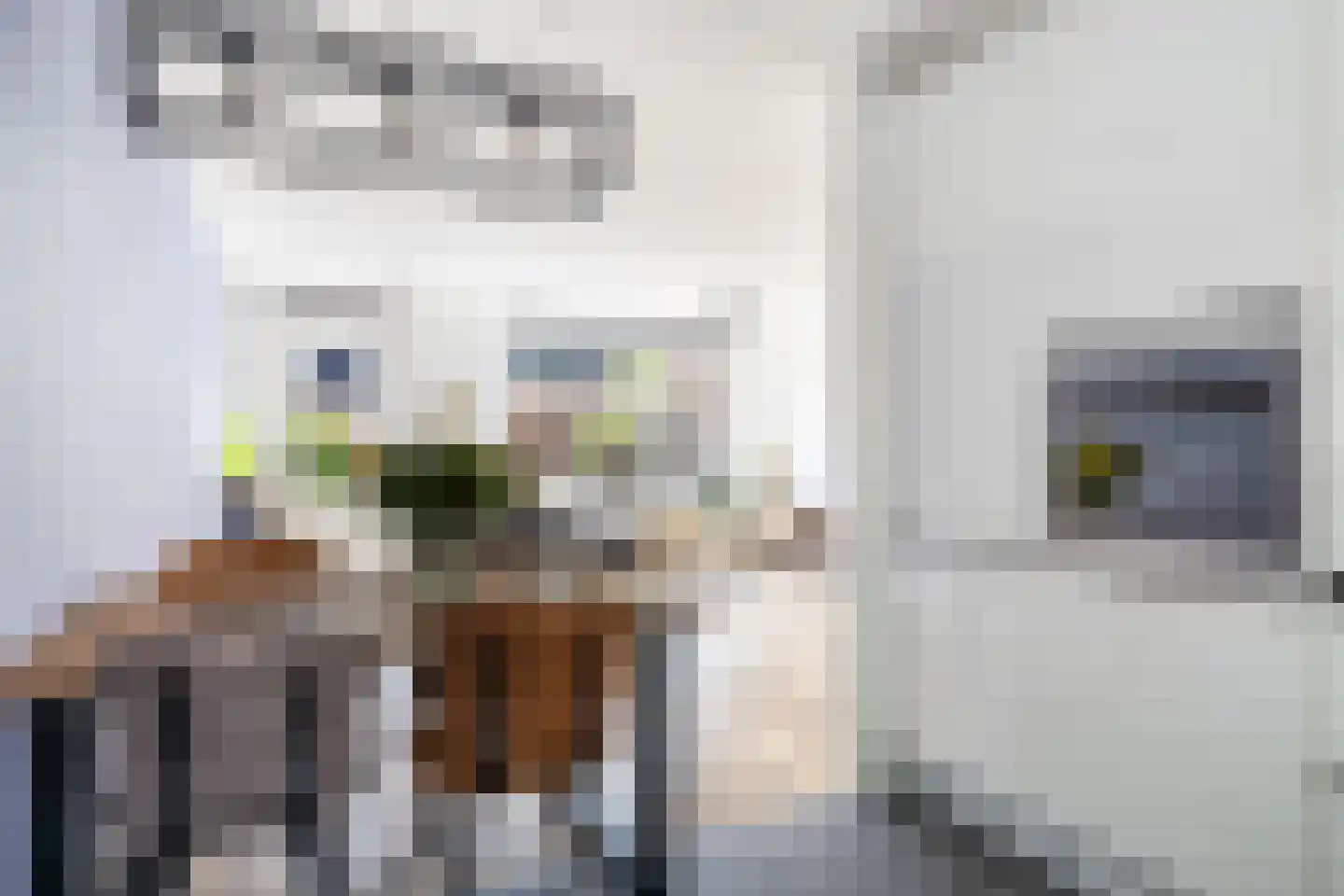 Zuringweide 8 Woerden thumbnail 13