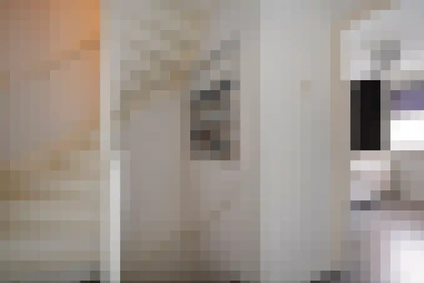 Zurinkstraat 35 Geesteren thumbnail 13