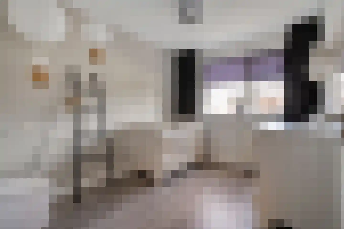 Zurinkstraat 35 Geesteren thumbnail 16