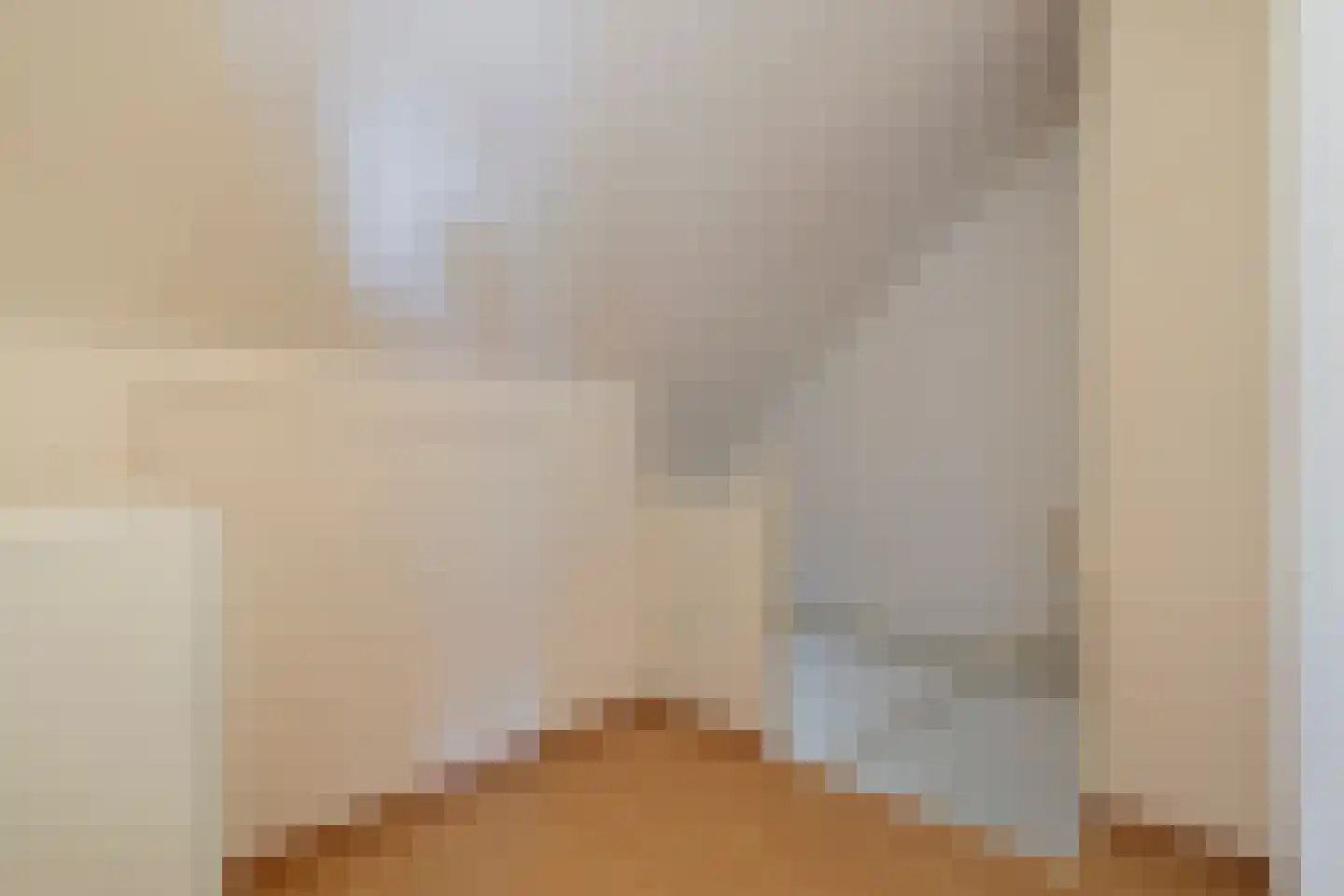 Zurinkstraat 35 Geesteren thumbnail 19