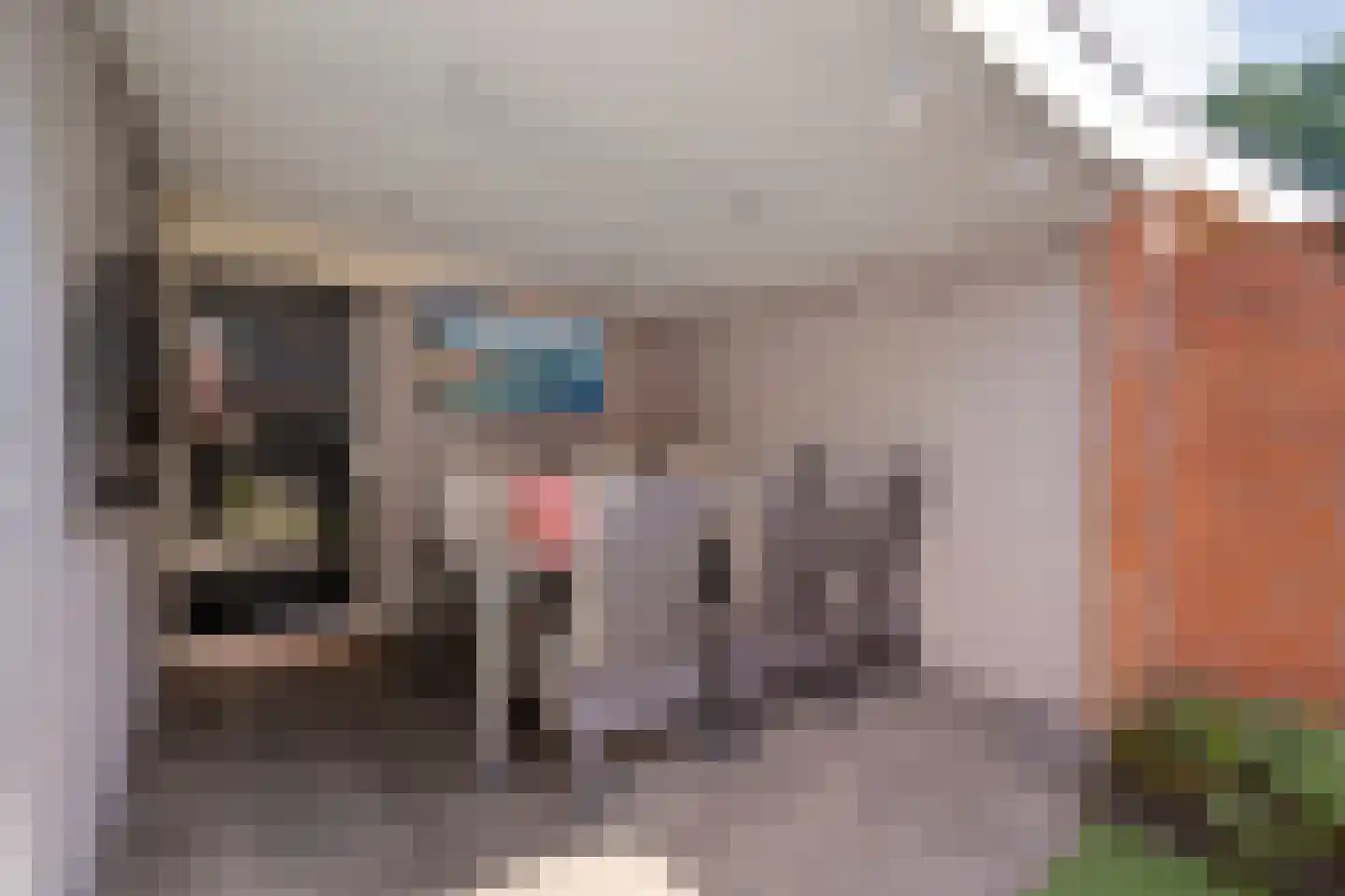 Zurinkstraat 35 Geesteren thumbnail 27
