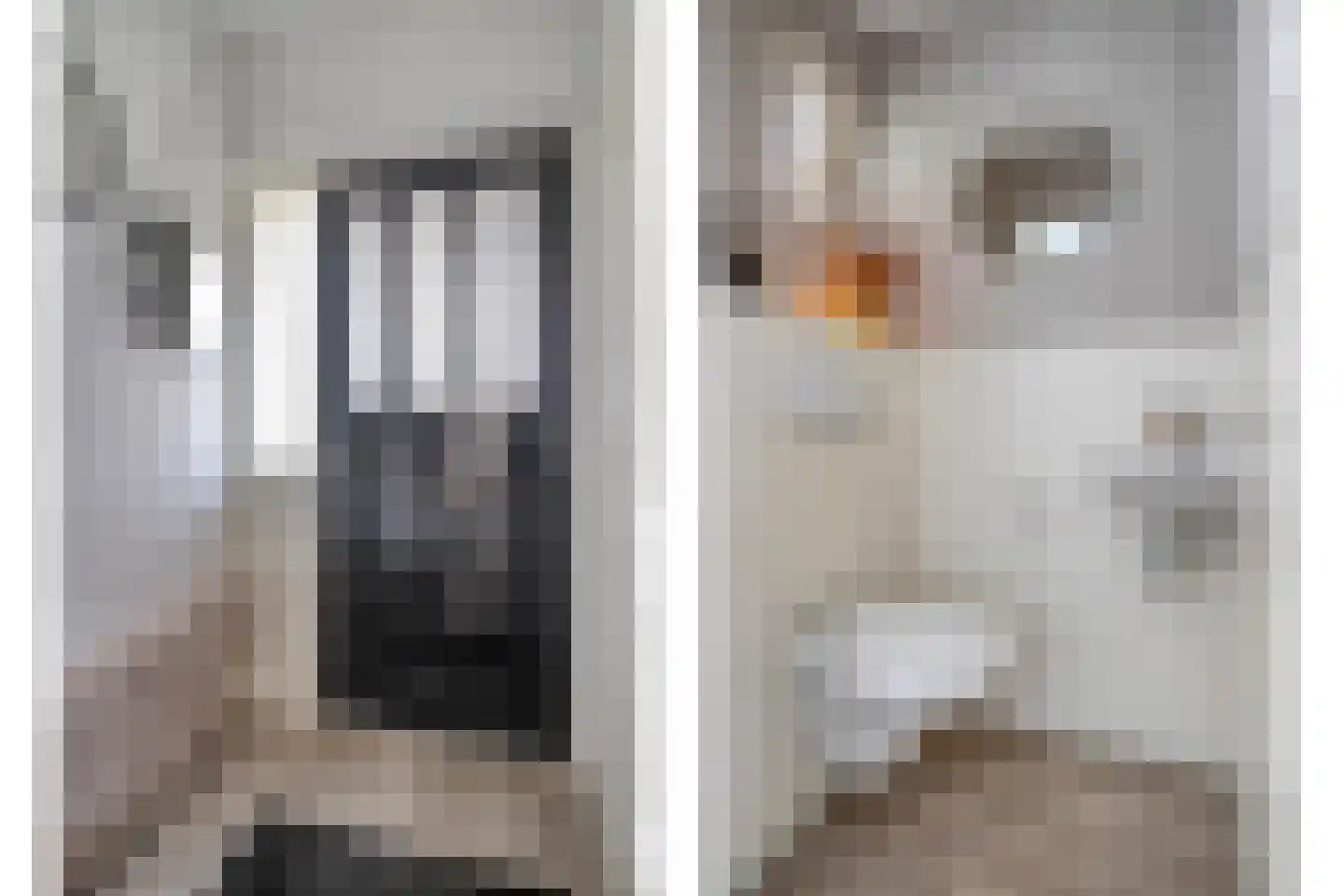 Zurinkstraat 35 Geesteren thumbnail 5