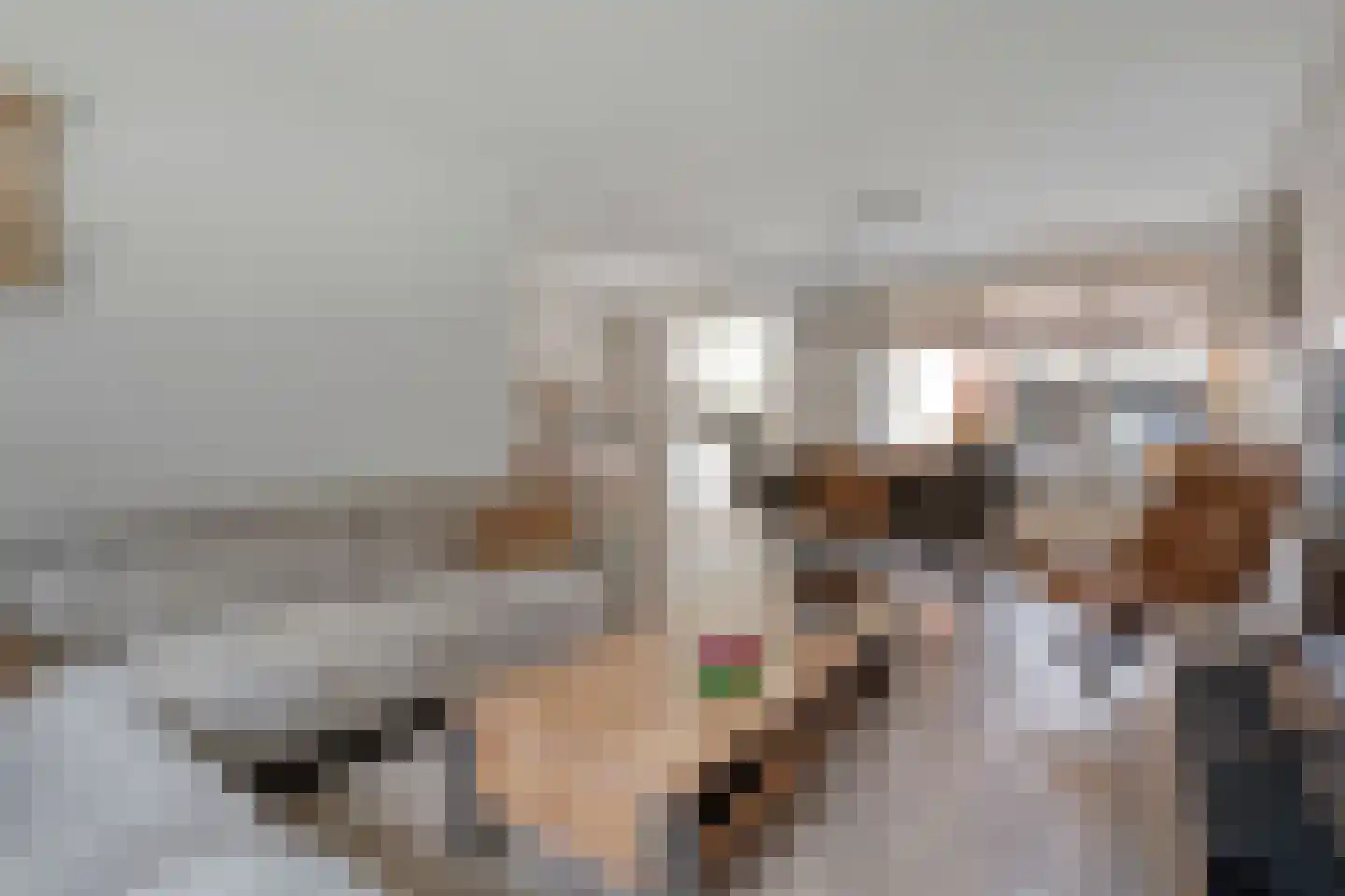 Zurinkstraat 35 Geesteren thumbnail 7