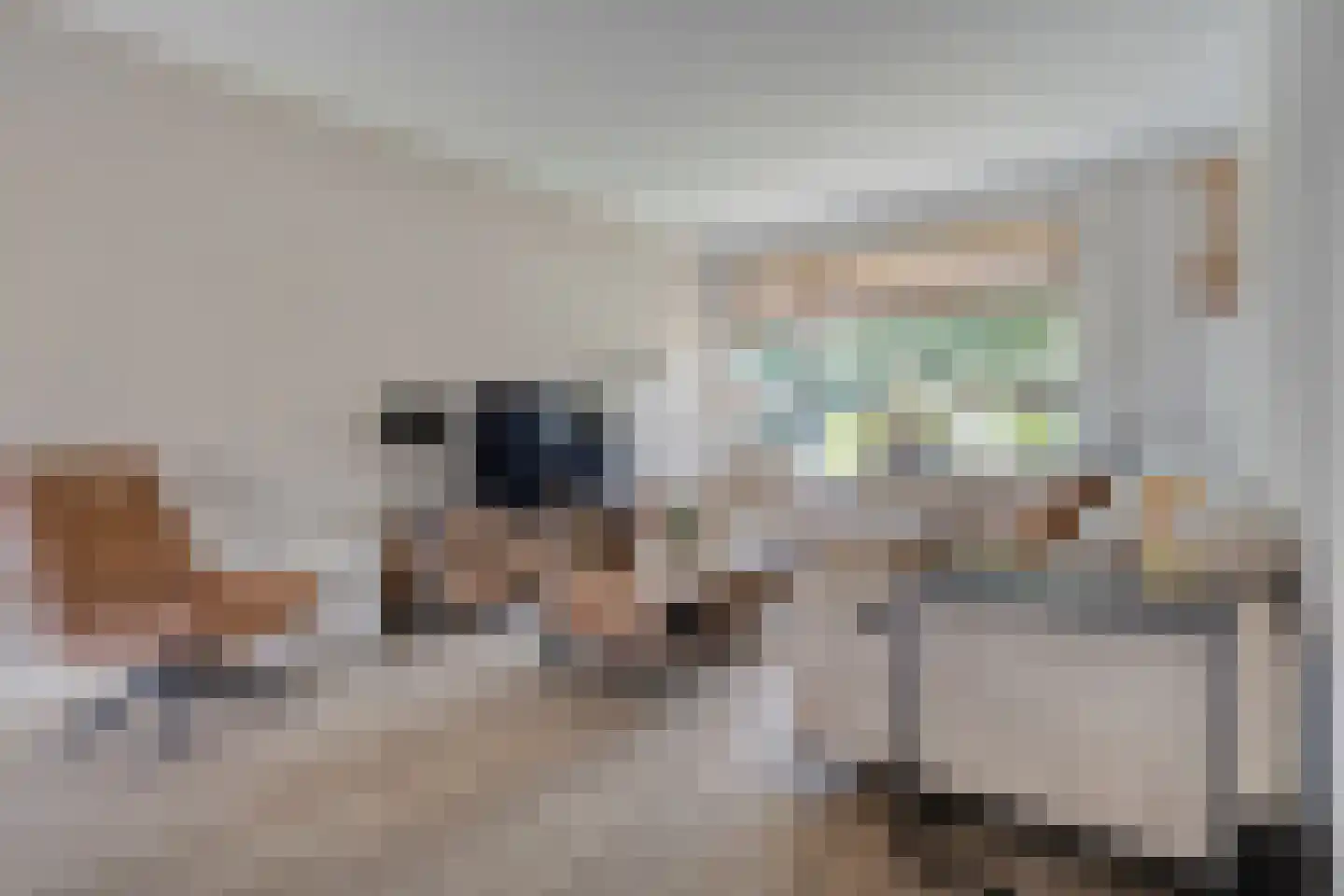 Zurinkstraat 35 Geesteren thumbnail 8