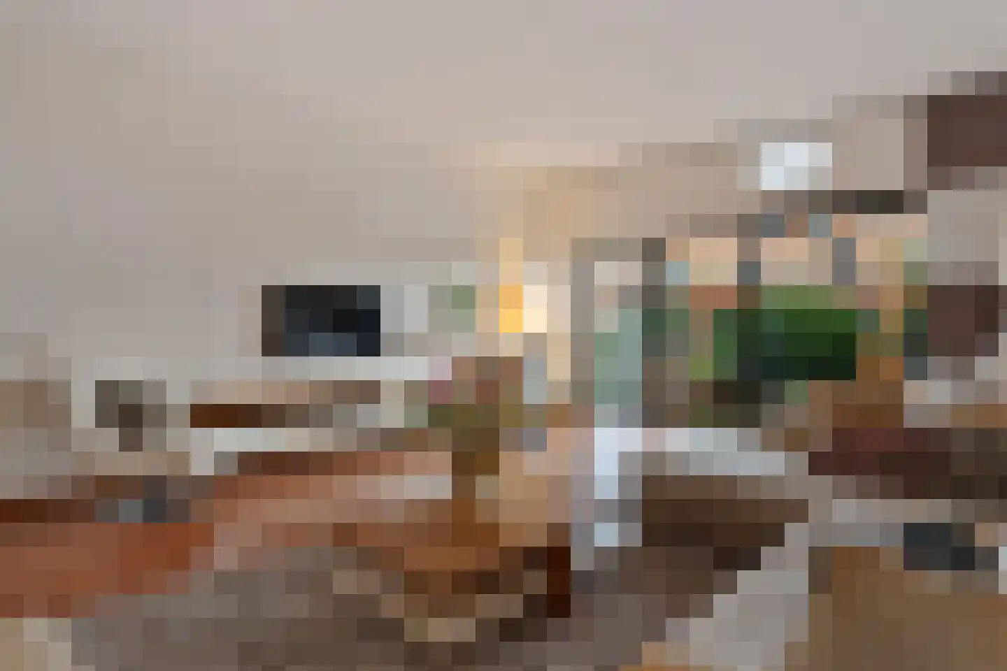 Zus Braunstraat 32 Rotterdam thumbnail 19