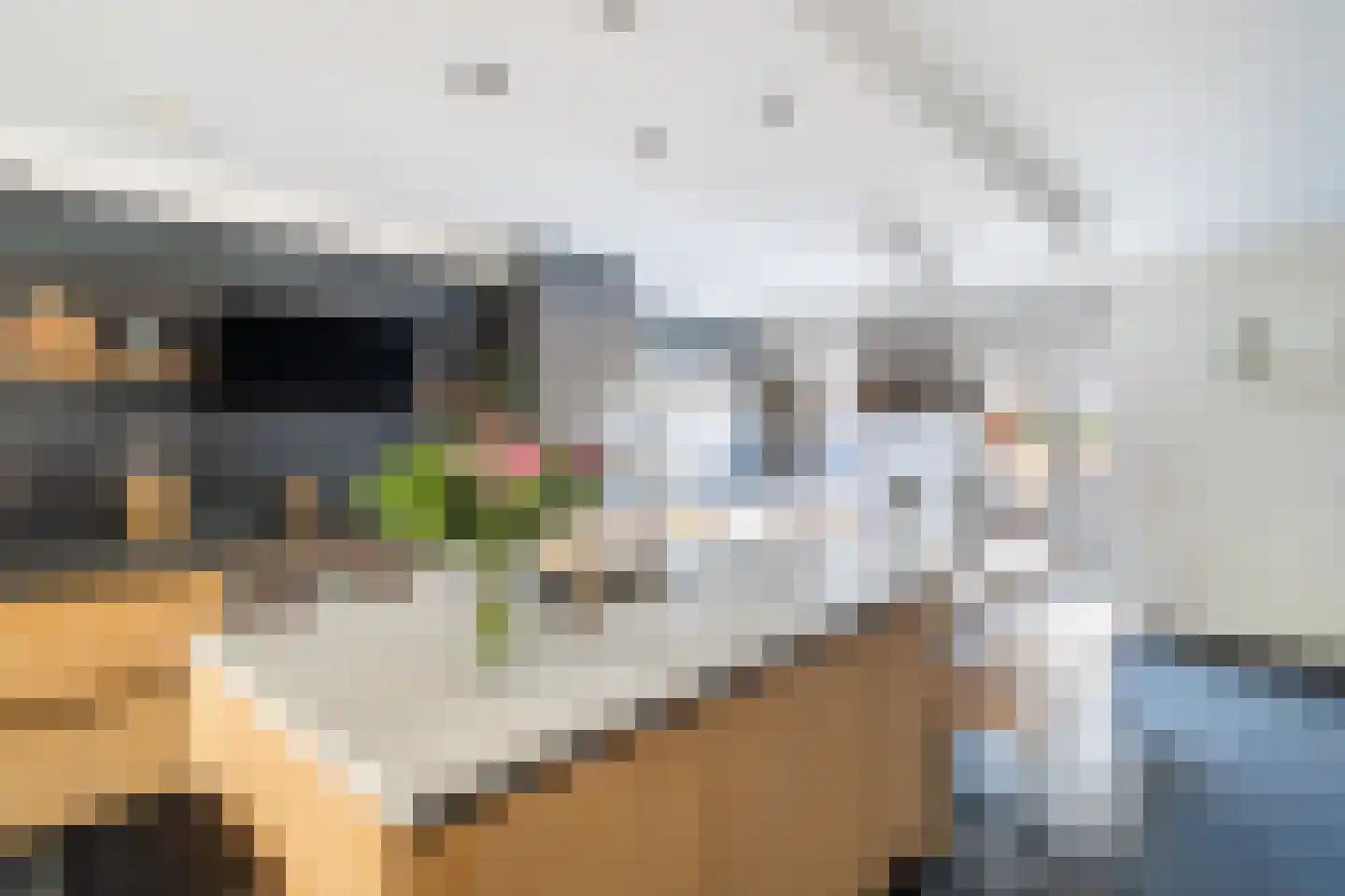 Zus Braunstraat 6 Rotterdam thumbnail 13