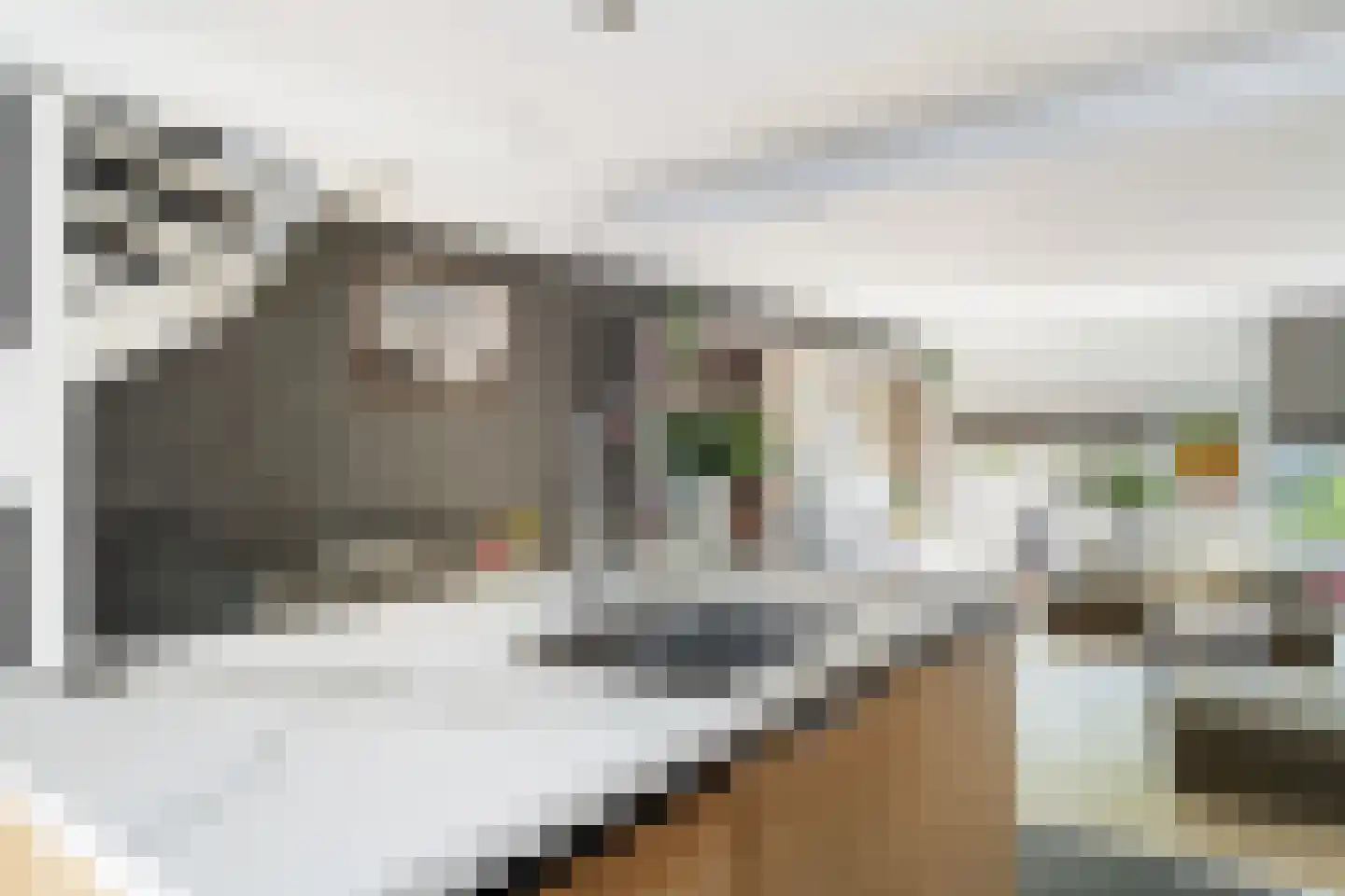 Zus Braunstraat 6 Rotterdam thumbnail 15