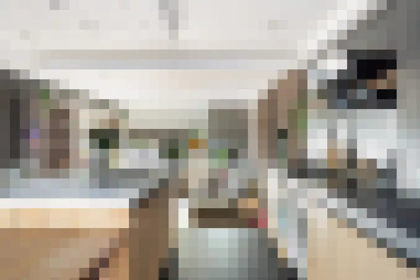 Zus Braunstraat 6 Rotterdam thumbnail 19