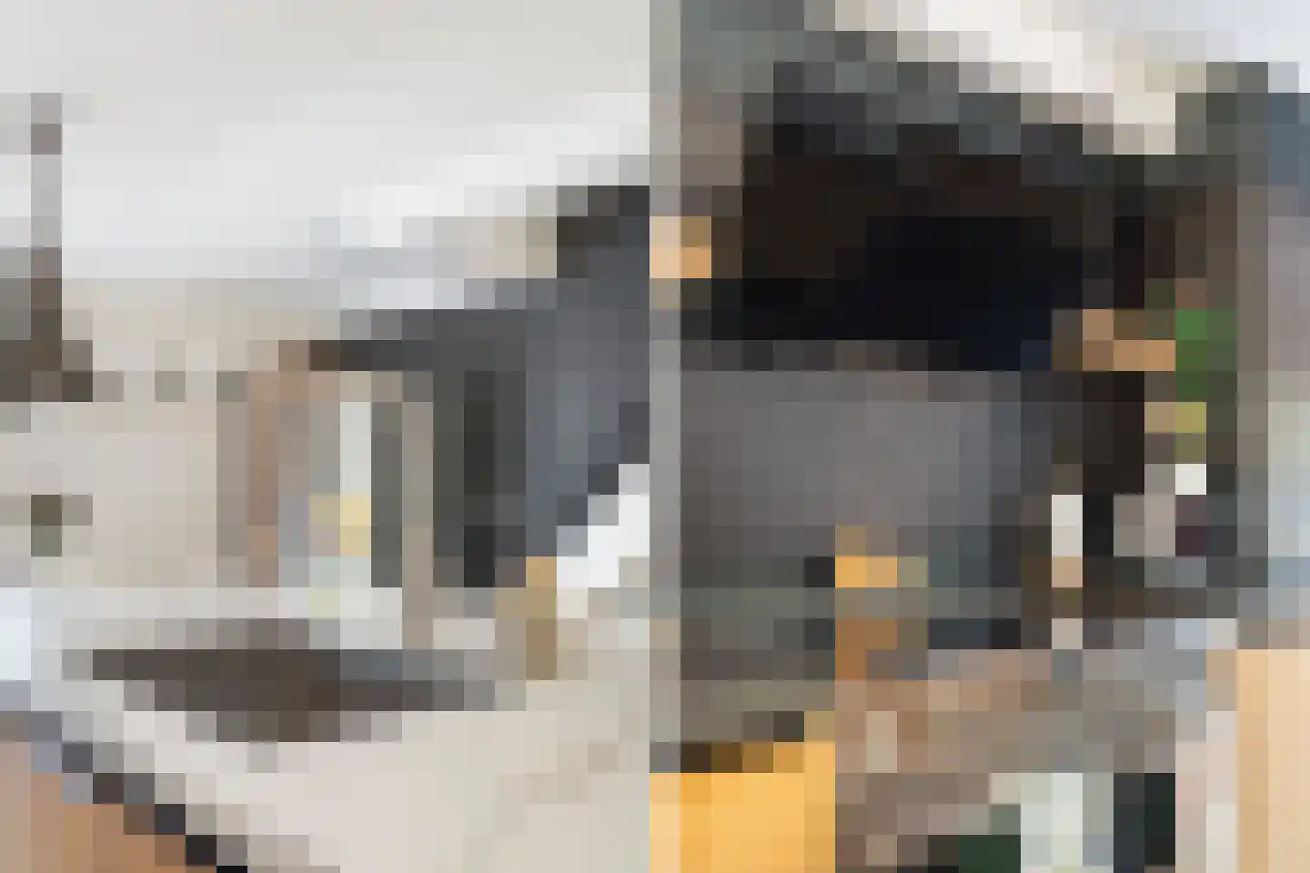 Zus Braunstraat 6 Rotterdam thumbnail 20
