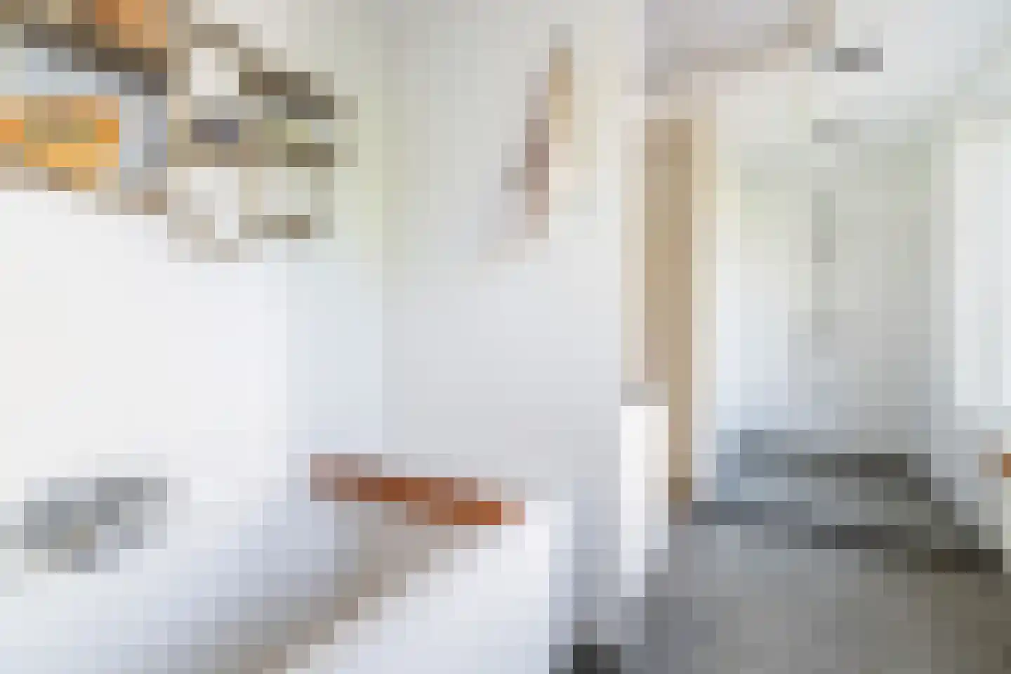 Zus Braunstraat 6 Rotterdam thumbnail 23