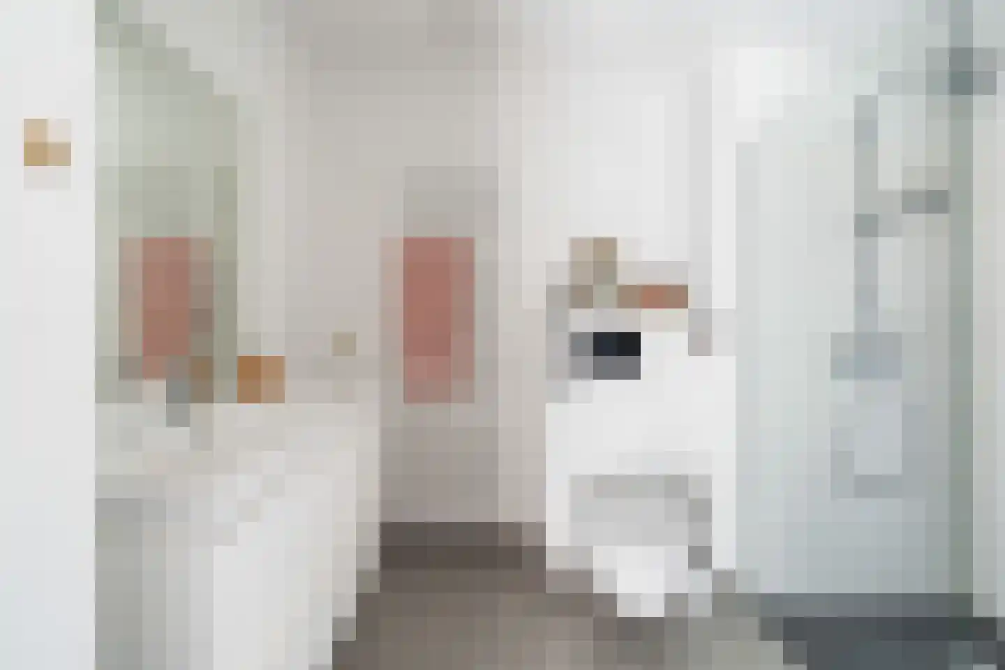 Zus Braunstraat 6 Rotterdam thumbnail 40