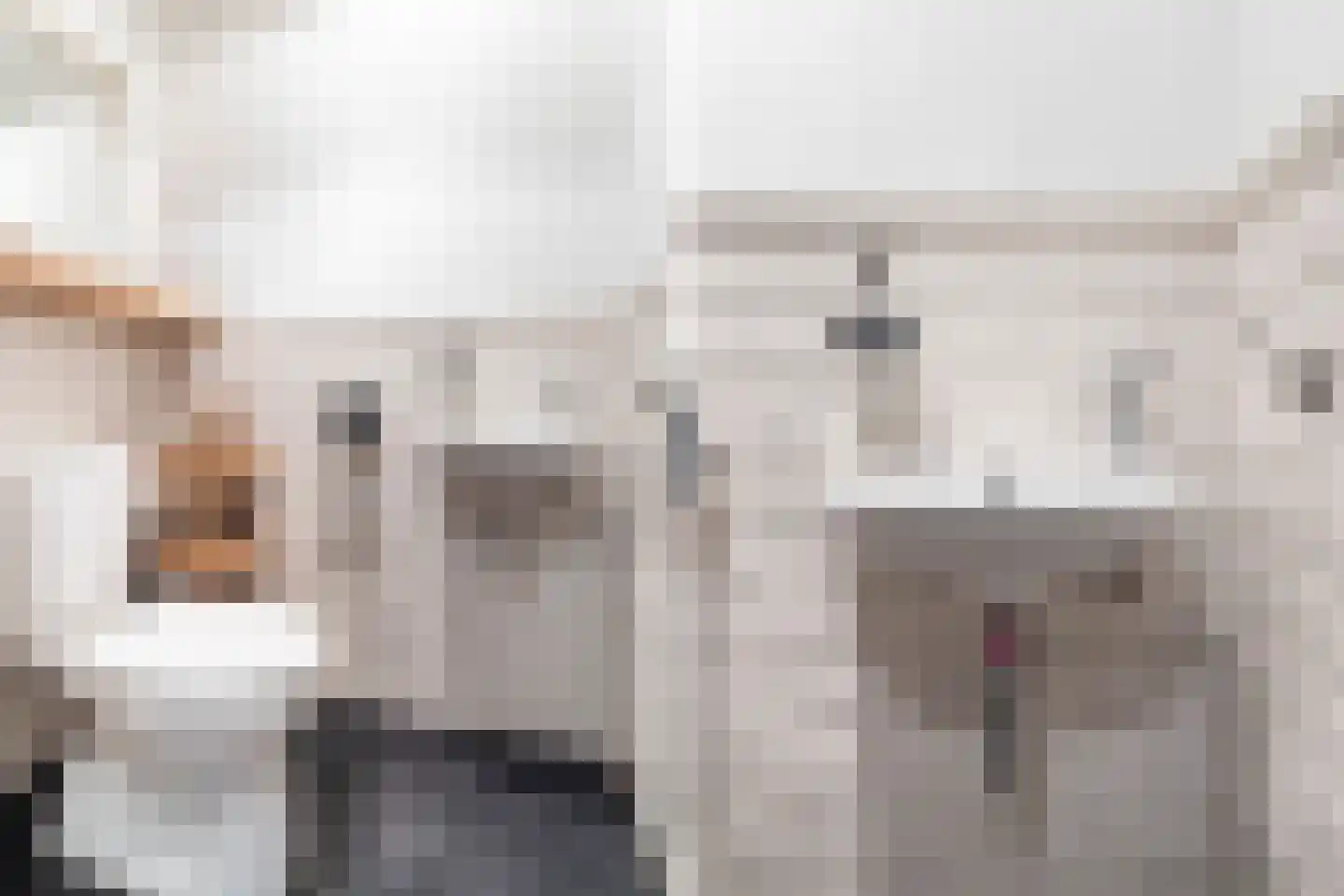 Zus Braunstraat 6 Rotterdam thumbnail 43