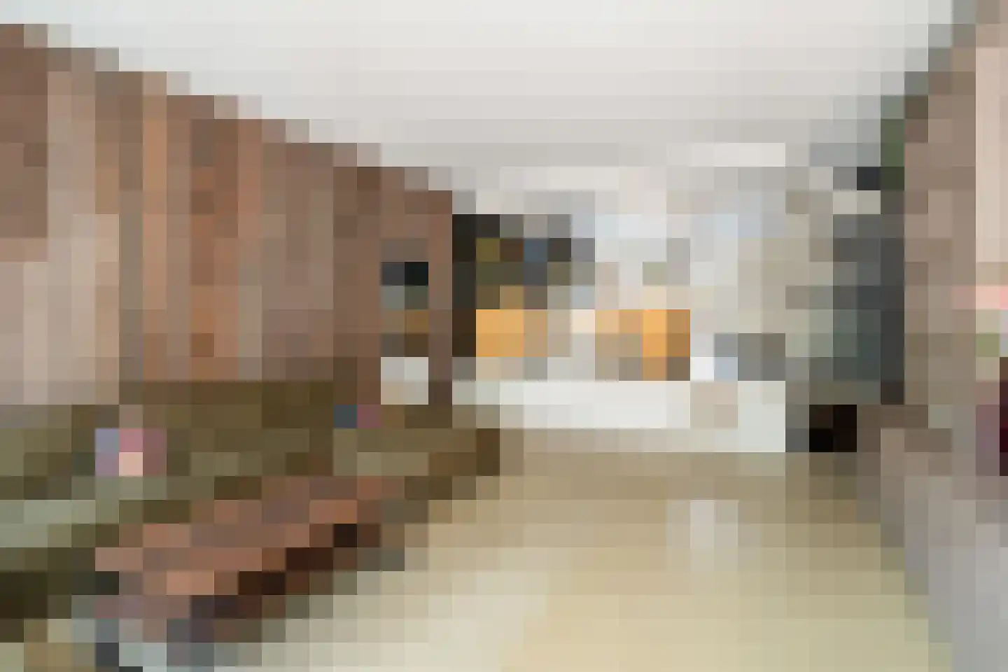 Zus Braunstraat 6 Rotterdam thumbnail 5