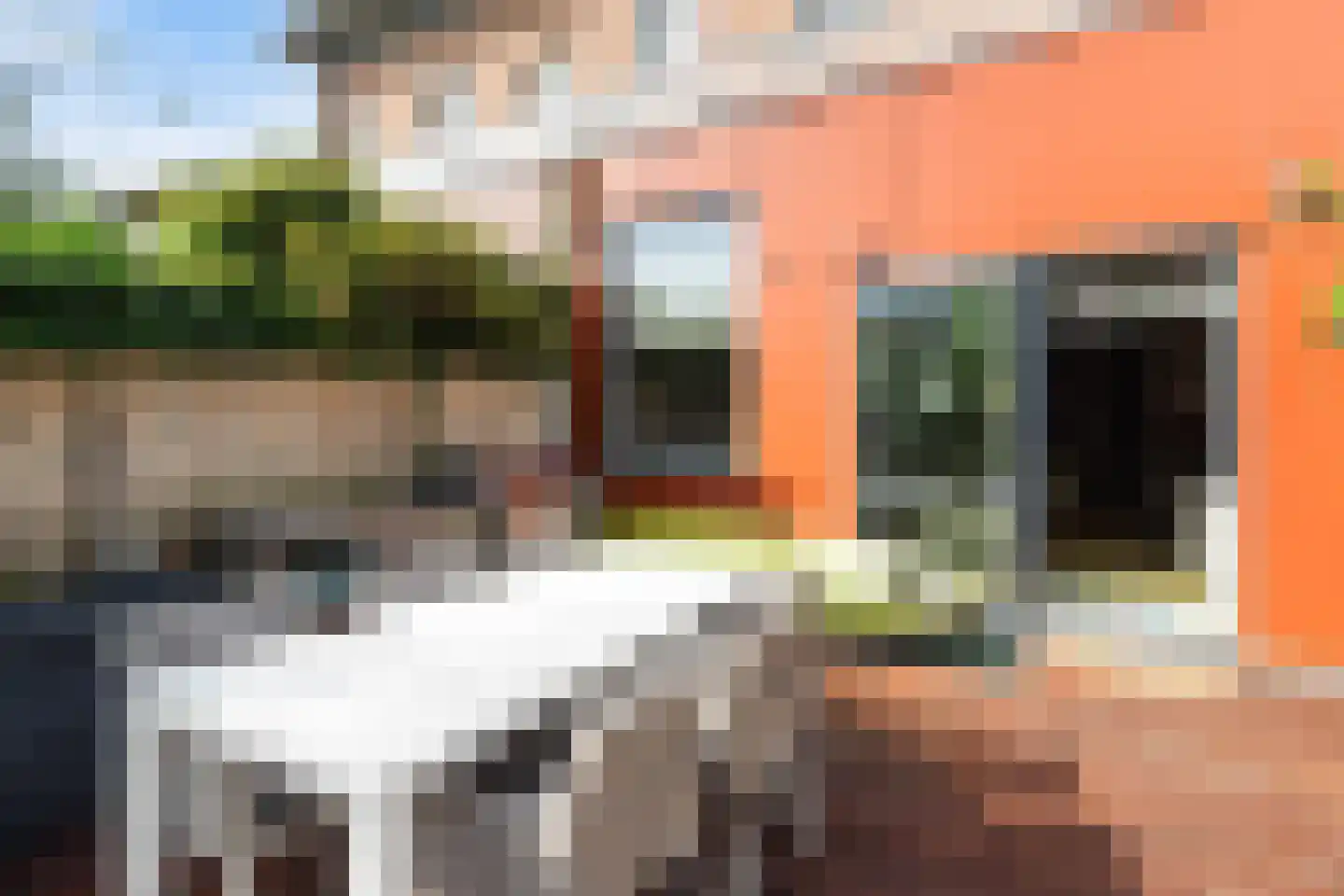 Zus Braunstraat 6 Rotterdam thumbnail 53