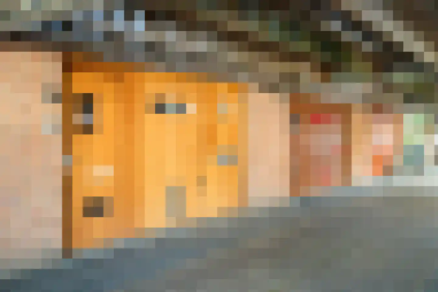 Zus Braunstraat 6 Rotterdam thumbnail 62
