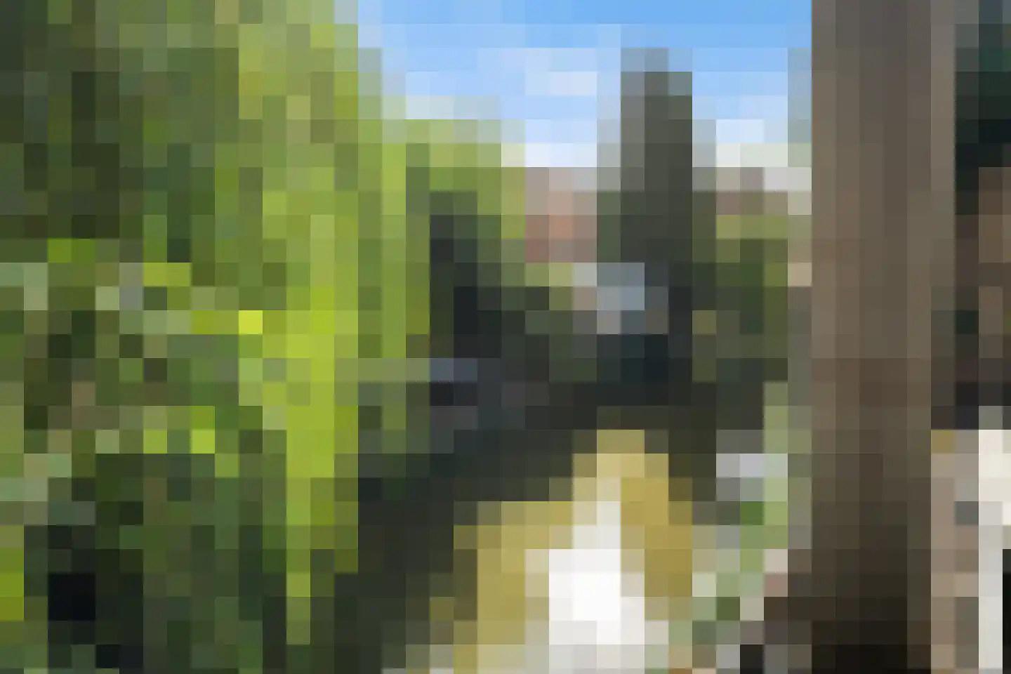 Zus Braunstraat 6 Rotterdam thumbnail 68