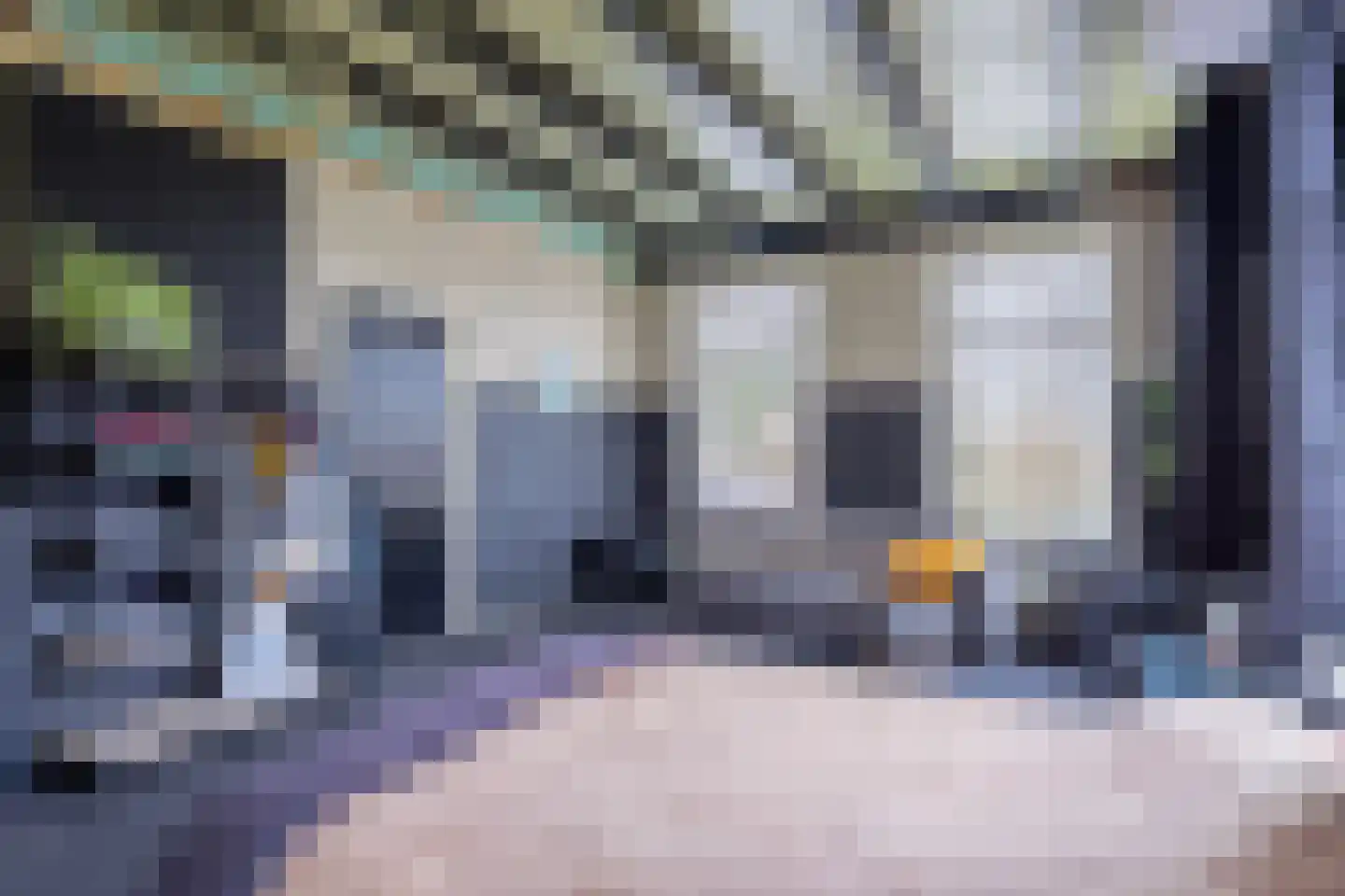 Zuster A. Westerhofstraat 10 Leens thumbnail 13