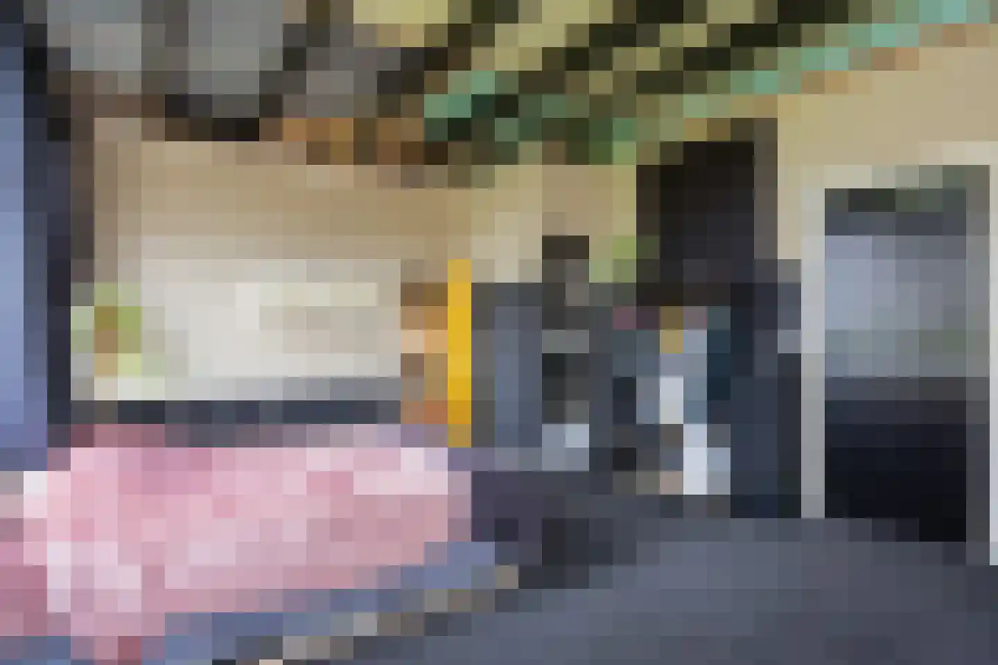 Zuster A. Westerhofstraat 10 Leens thumbnail 15