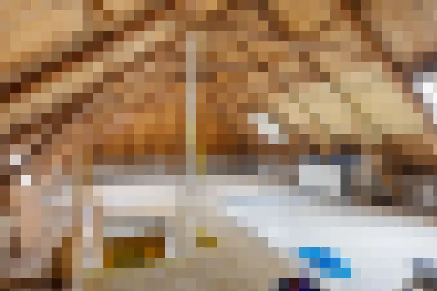 Zuster A. Westerhofstraat 10 Leens thumbnail 24