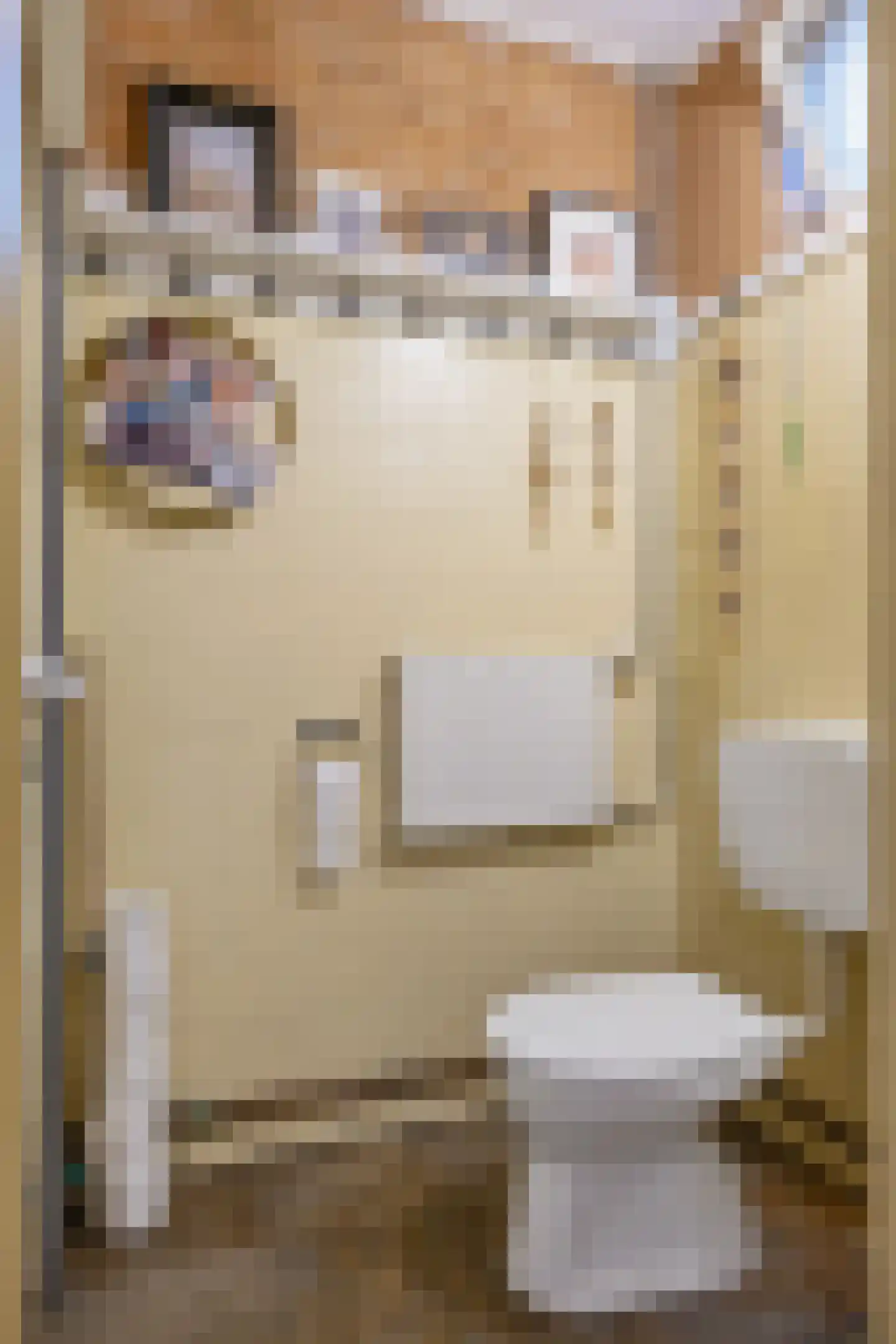 Zuster A. Westerhofstraat 10 Leens thumbnail 26