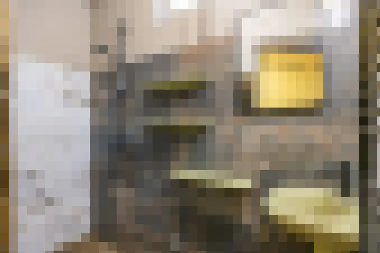 Zuster A. Westerhofstraat 10 Leens thumbnail 27