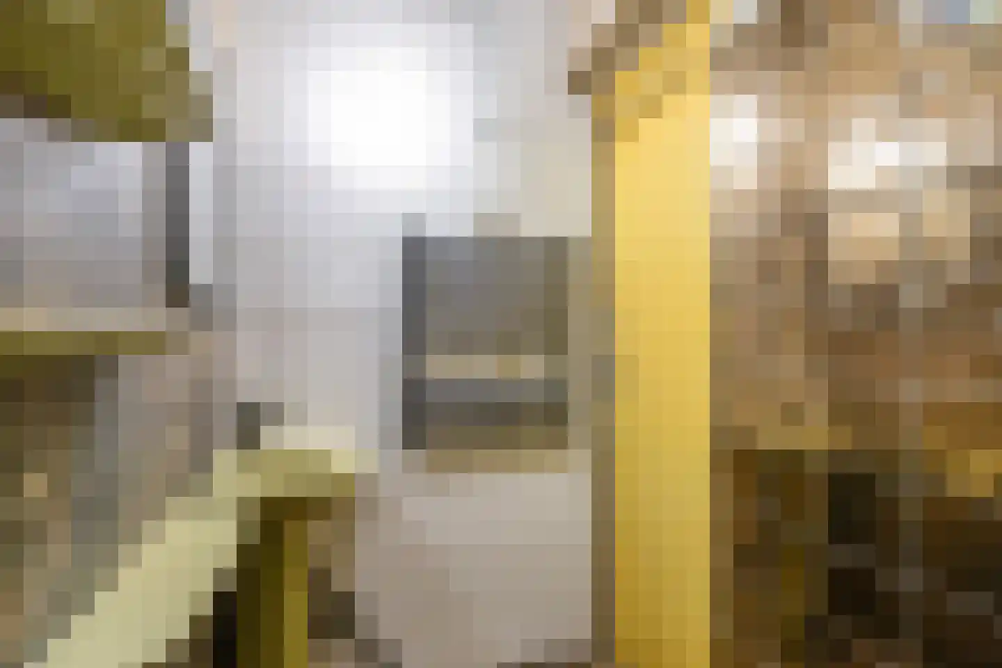 Zuster A. Westerhofstraat 10 Leens thumbnail 28