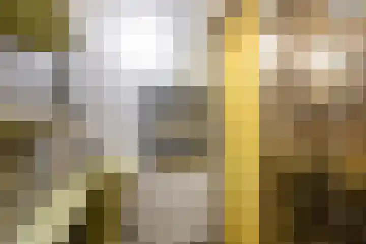 Zuster A. Westerhofstraat 10 Leens thumbnail 28