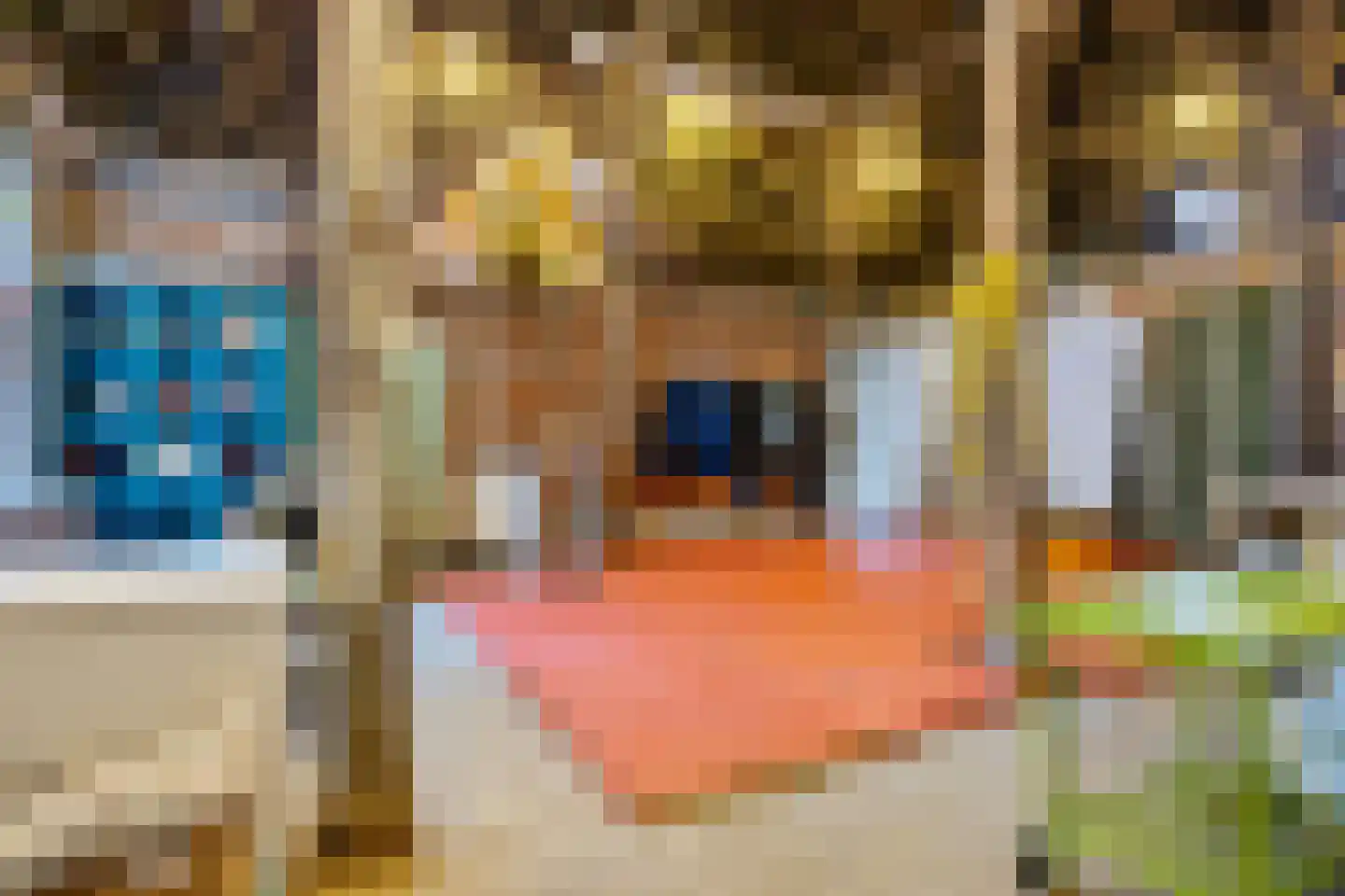 Zuster A. Westerhofstraat 10 Leens thumbnail 30
