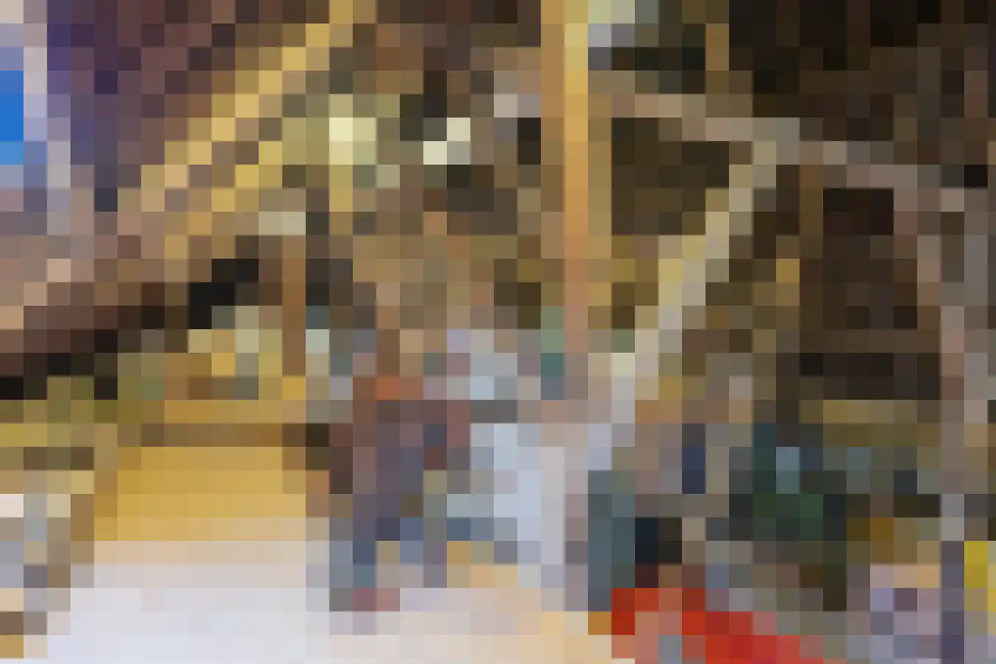 Zuster A. Westerhofstraat 10 Leens thumbnail 37