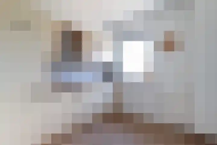 Zuster A. Westerhofstraat 24 Leens thumbnail 8