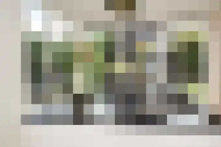 Zuster Boerestraat 13 's-Hertogenbosch thumbnail 22