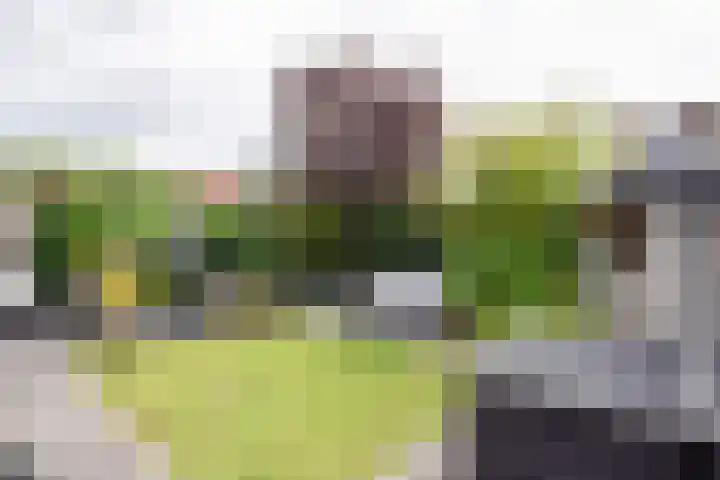 Zuster Boerestraat 13 's-Hertogenbosch thumbnail 26