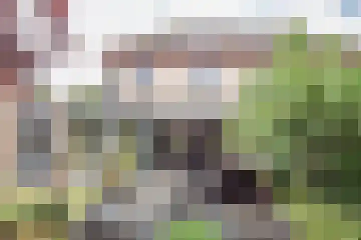 Zuster Boerestraat 13 's-Hertogenbosch thumbnail 31